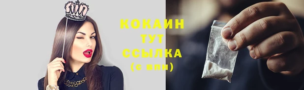 стафф Медвежьегорск